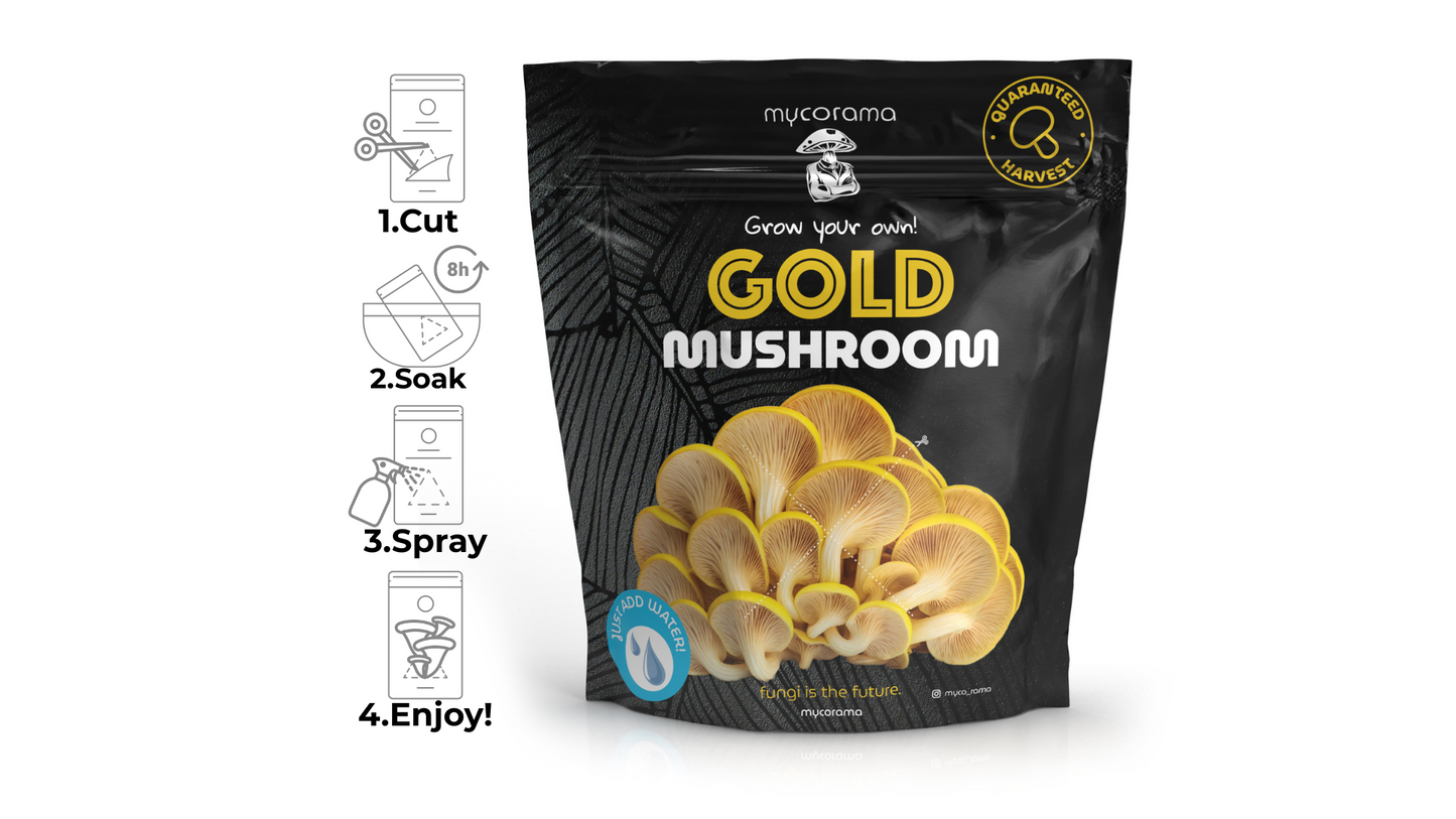 Gold Oyster Mushroom Growkit