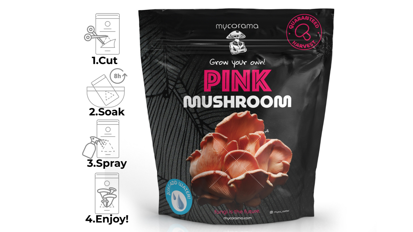 Pink Oyster Mushroom Growkit