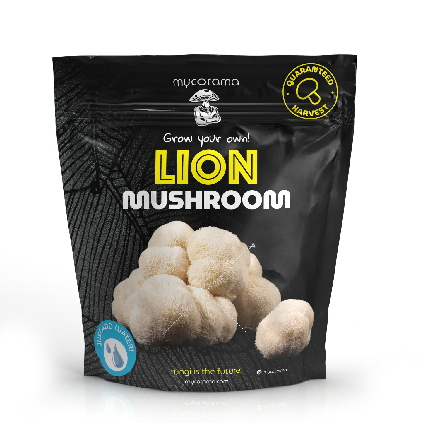 Lion’s Mane Mushroom Growkit