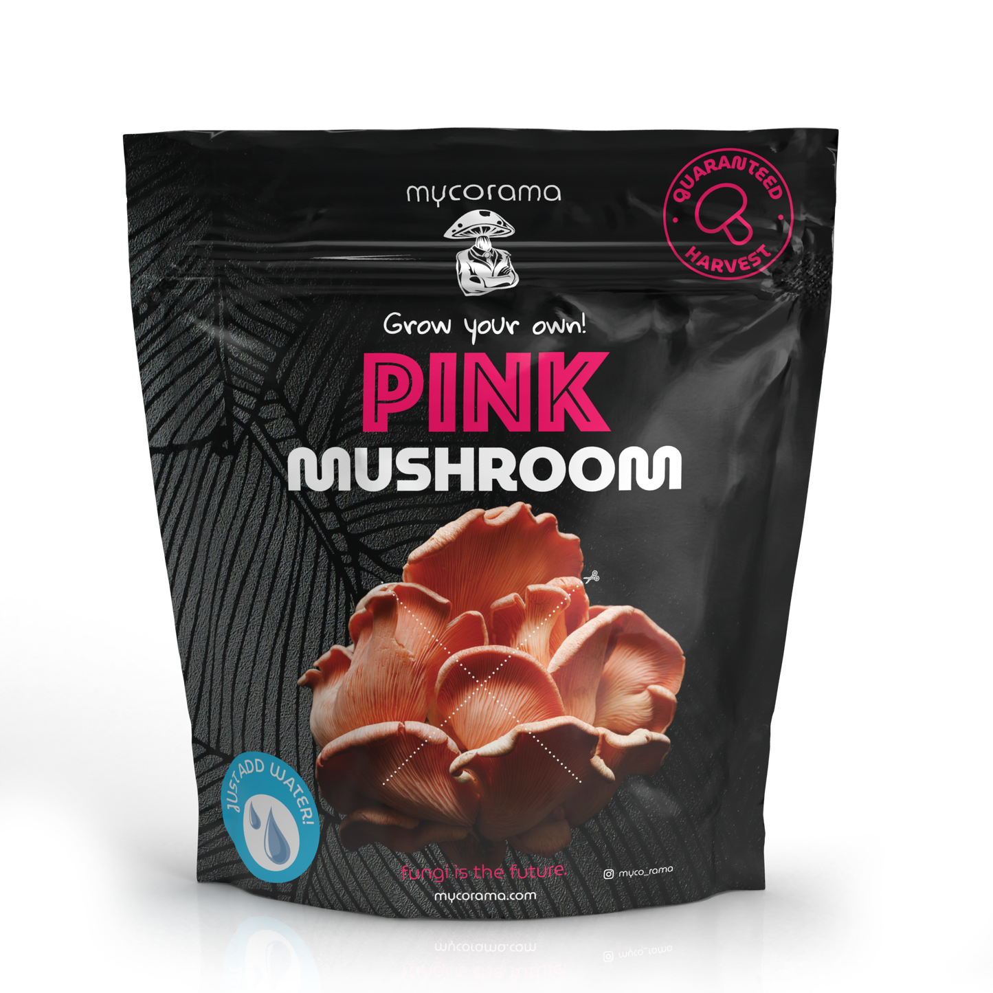 Pink Oyster Mushroom Growkit