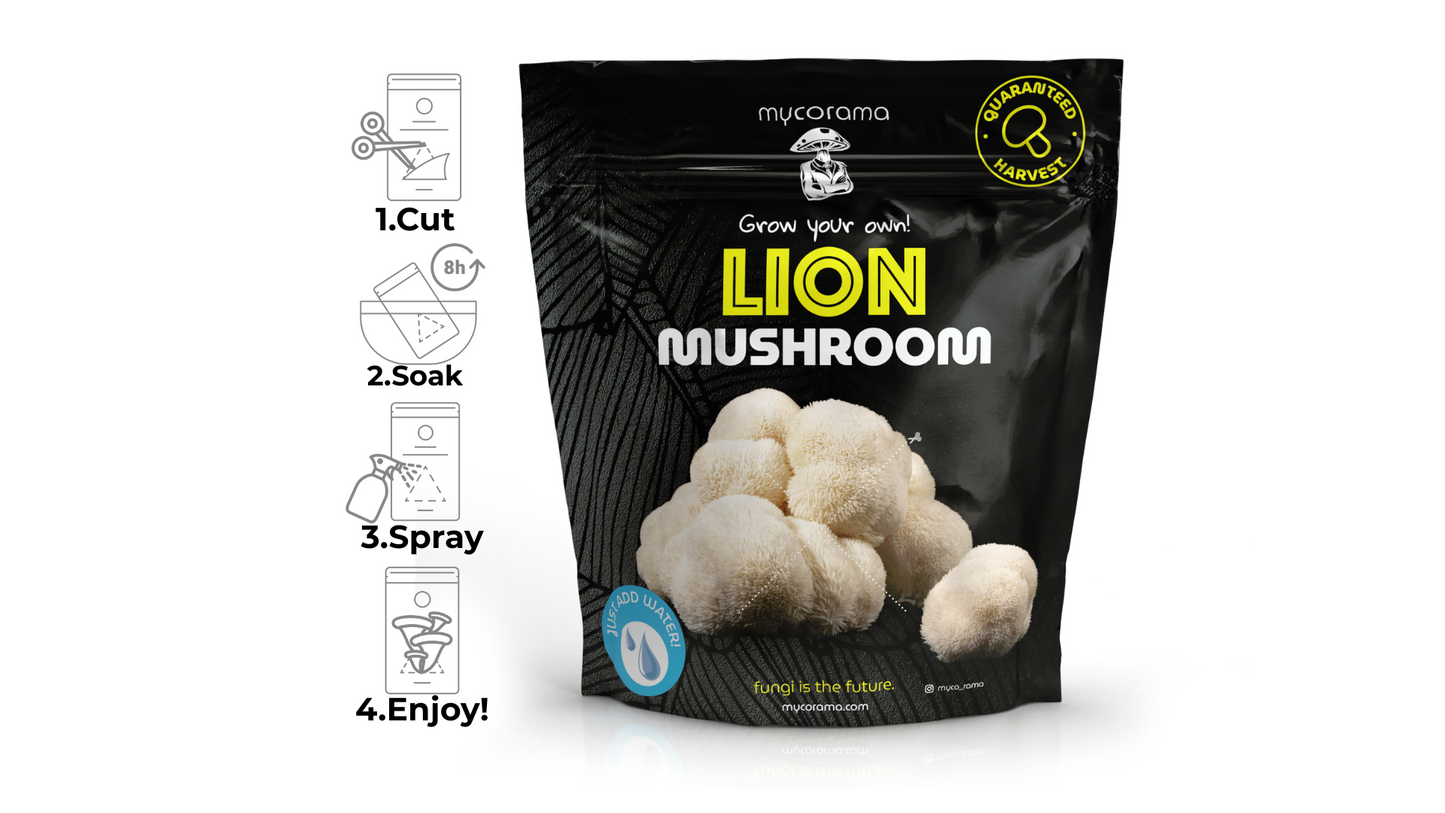 Lion’s Mane Mushroom Growkit