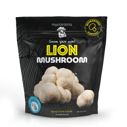 Lion’s Mane Mushroom Growkit